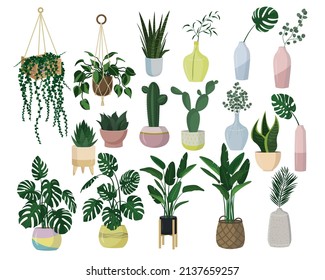 Vector set of house plants in pots and vases isolated on a white background. Monstera, eucalyptus, palm, cacti and other plants in a flat style, in Scandi style. Great for postcards, prints, stickers