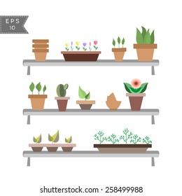 vector set of house plants in pots on the shelves