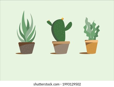Vector set houseplant cactus and succulent in pot, realistic tree front view.