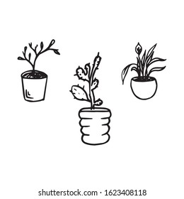 Vector set of houseplants. Drawn by hand in the doodle style with a black outline, isolated on a white background. For the design of garden shops, instructions for seeds, farm designs,flower business