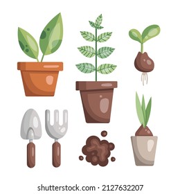 Conjunto vectorial de plantas domésticas. Ilustraciones de jardín aisladas.