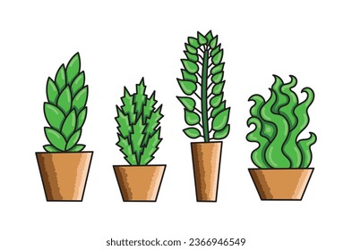 Vector set houseplants succulent in pots, realistic tree front view. Green of indoor plant isolated on white background.
