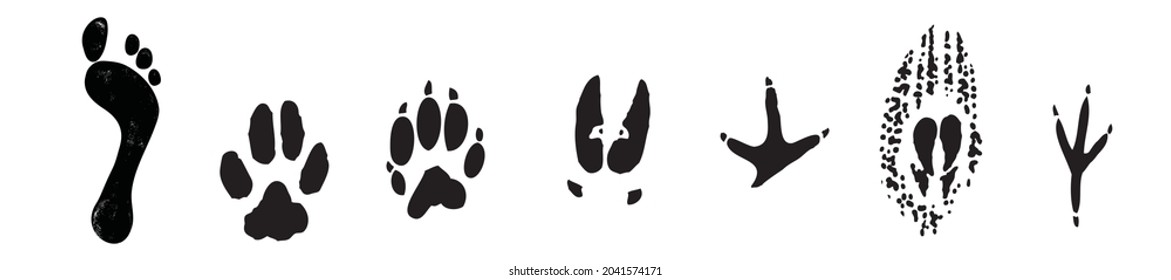 Vector set of human and animal, bird footprints icon. Collection of bare human foots, cat, dog, bird, chicken, hen, crow, duck footprint. Design for frames, invitation and greeting cards
