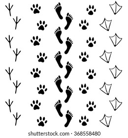 Vector set of human and animal, bird footprints icon. Collection of bare human foots, cat, dog, bird, chicken, hen, crow, duck footprint. Design for frames, invitation and greeting cards