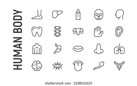 Vector set of human body thin line icons. Design of 20 stroke pictograms. Signs of human body isolated on a white background.