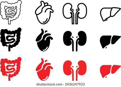 vector set of human internal organs including heart, kidney, liver, small intestine icons, digestive system symbol, stomach good intestine system symbol, isolated on transparent background.