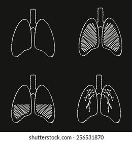 Vector set of human lungs