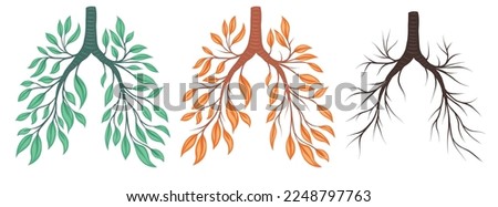 Vector set of human lungs from green and orange leaves and branches. Withering health. Old human organ. Earth seasons. Concept art of spring, autumn, winter lungs isolated from background.