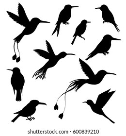 vector set of hummingbirds silhouettes, hand drawn songbirds, isolated vector elements