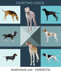 Vector set of hunting dogs. Greyhound, pointer, scent hound, spaniel and dachshund.