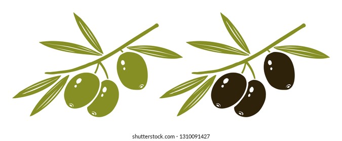 Vector set icon of olives branch. Green and black olives