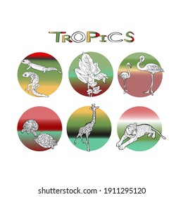 Vector set of icons of African animals. Illustration of a giraffe, lizards, gecko, turtles, tiger, banana, blank for designers, logo, label