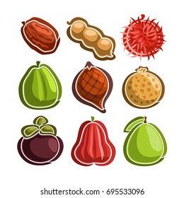 Iconos del conjunto de vectores de frutas exóticas de colores: 9 logos primitivos de frutas tailandesas aislados en fondo blanco, conjunto de pegatinas simples de dibujos animados para jugo o caramelo, imagen de pictogramas gráficos abstractos de frutas