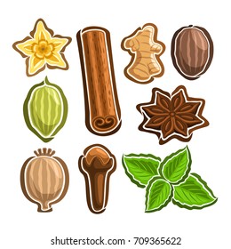 Vector Set icons for culinary Spices: 9 minimal labels of indian condiments isolated on white background, set of cartoon simple stickers for spice packing, tags for aroma seasoning graphic pictograms.