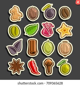 Vector Set icons for culinary Spices: 16 minimal labels of indian condiments isolated on black background, set of cartoon simple stickers for spice packing, tags for aroma seasoning graphic pictograms