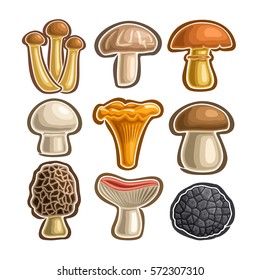 Vector set Icons edible Mushrooms: abstract isolated logo simple mushroom, armillaria mellea, shitake, suillus luteus, crimini, chanterelle, boletus, morel, russula, black wild truffle mushroom icon.