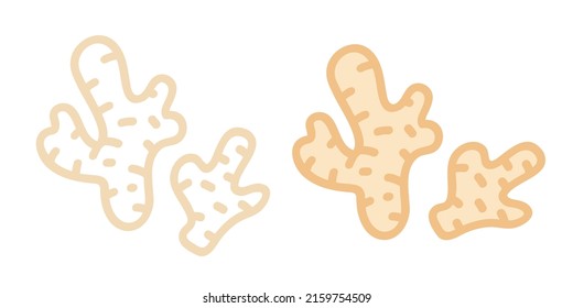 Vector Set Icons Of Ginger. Vector Illustration Of Gingers. Hand Drawing Vegetables.