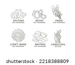 Vector set of icons in linear style - enok, shiitaki, maitake, cordyceps, reishi and lion