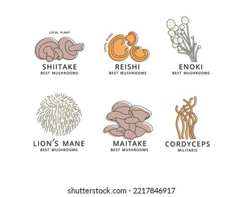 Vector set of icons in linear style - enoki, shiitake, maitake, cordyceps, reishi and lion's mane mushrooms. Logo signs