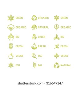 Vector set of icons and logo design elements for food and product packaging related to green technologies, ecological, natural and fresh symbols - linear icons and badges