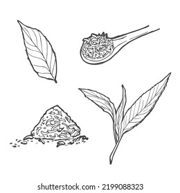 Vector set of icons on a tea theme in doodle style