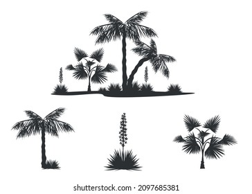 Vector set of icons from the silhouette of tropical plants and individual plants and palm trees in black color on a white background for creating a design of maps and web pages