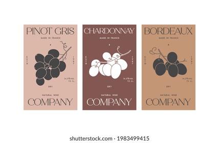 Vector set illustartion design labels for wine. Minimalistic and modern design with grape branch