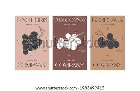 Vector set illustartion design labels for wine. Minimalistic and modern design with grape branch