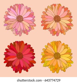 vector set illustration chrysanthemum