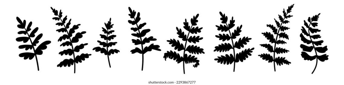 Vector set of illustration of different beautiful black twig with leaves on white color background. Flat line art style design of fern leaf for web, banner, poster, print