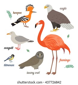 Vector set. Illustration of different colorful birds. Flamingo, seagull, american eagle, titmouse, grey owl and hoopoe.  Isolated on white background. Flat design.