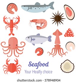 Vector set illustration of different kinds of seafood on white  background.