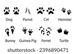 Vector set illustration of domestic animal paw print ,black on white  ,pets foootprint 