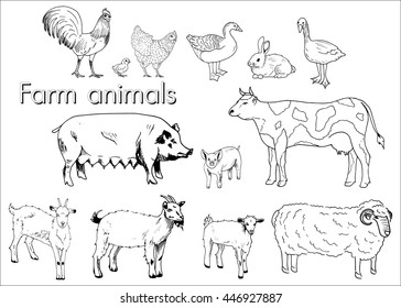 Vector set illustration farm animals isolated on a white background, cow, big pig, goat, chicken, goose, rabbit. Manual drawing, hatching