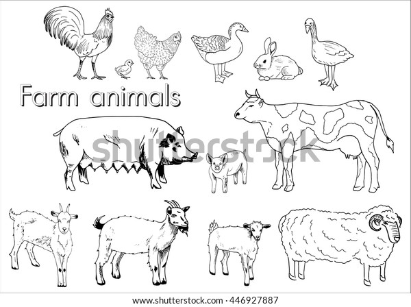 Vector Set Illustration Farm Animals Isolated Stock Vector (Royalty ...