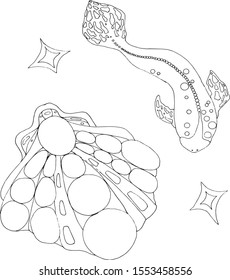 Vector set illustration of fish, seashell, abstraction. Sea set for coloring, t-shirts, textiles, packaging, wallpaper, interiors, logo, bed, stickers