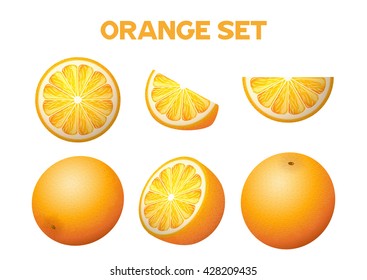 Vector set illustration of fresh oranges
