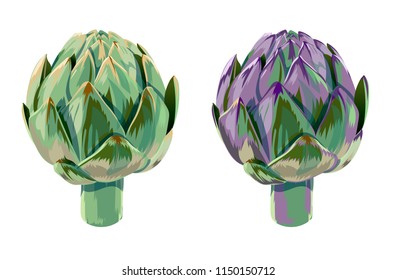 vector set of illustration green and violet vegetables artichoke on white background