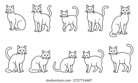 Vektorgrafik mit fröhlich süßem, anderem Katzencharakter auf weißem Hintergrund. Flache Linie Kunststil Design der Gruppe von Tierkatzen in verschiedenen Pose.