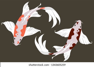 Vector set illustration of koi fish with different color of spots, isolated on gray background.