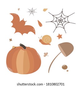 vector set illustration on the theme of halloween and autumn