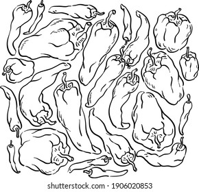 Vector set illustration with paprika and chili pepper