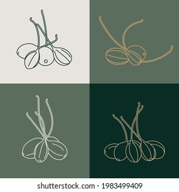 Vector set illustration pickled capers - simple linear style. Caperberries icons