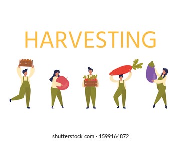 Vector set of illustration with small people  harvest. Harvesting, agricultural work, tree care, gardening concept. Design for web page, presentation, print, banner.