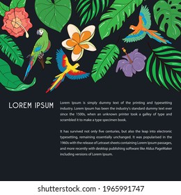 Vector set of illustration template for a postcard, business card, or advertising banner. Tropical background. Space for the text. Dark background. Stock illustration.