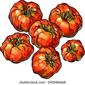 Vector set illustration with tomatoes, tomato