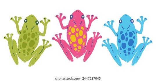 Vector set illustration of tropical frogs. Exotic frogs.