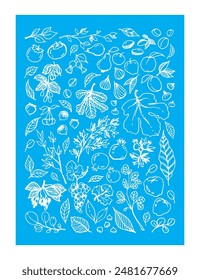 Vector set illustration of various Garden Fruits, leaves, tree branches on blue