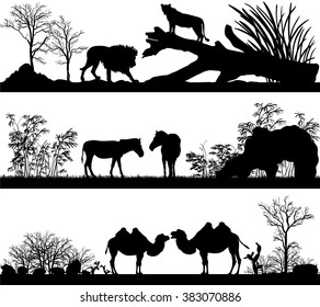 Vector set of illustration with wild animals (lion, horse, pony, zebra, camel) in different habitats