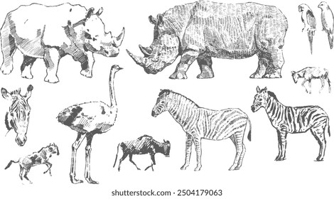 Vector set of illustrations of african elements in the style of ink drawing, realistic illustration style, cool pen and pencil drawings, zebra, rhino parrot